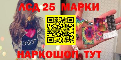 спиды Гатчина