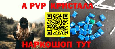 спиды Гатчина