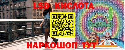 спиды Гатчина