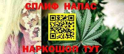 спиды Гатчина