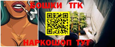 спиды Гатчина