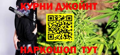 спиды Гатчина