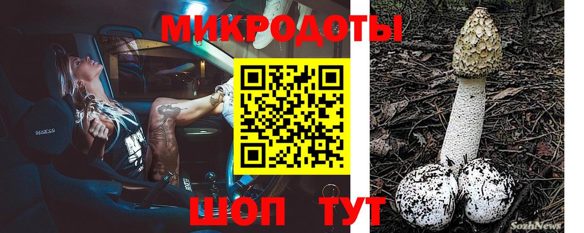 Галлюциногенные грибы Cubensis Назарово